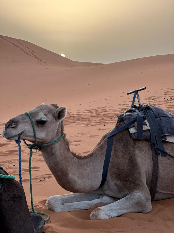 Riad Aicha & Camel Trekking Merzouga Exterior foto