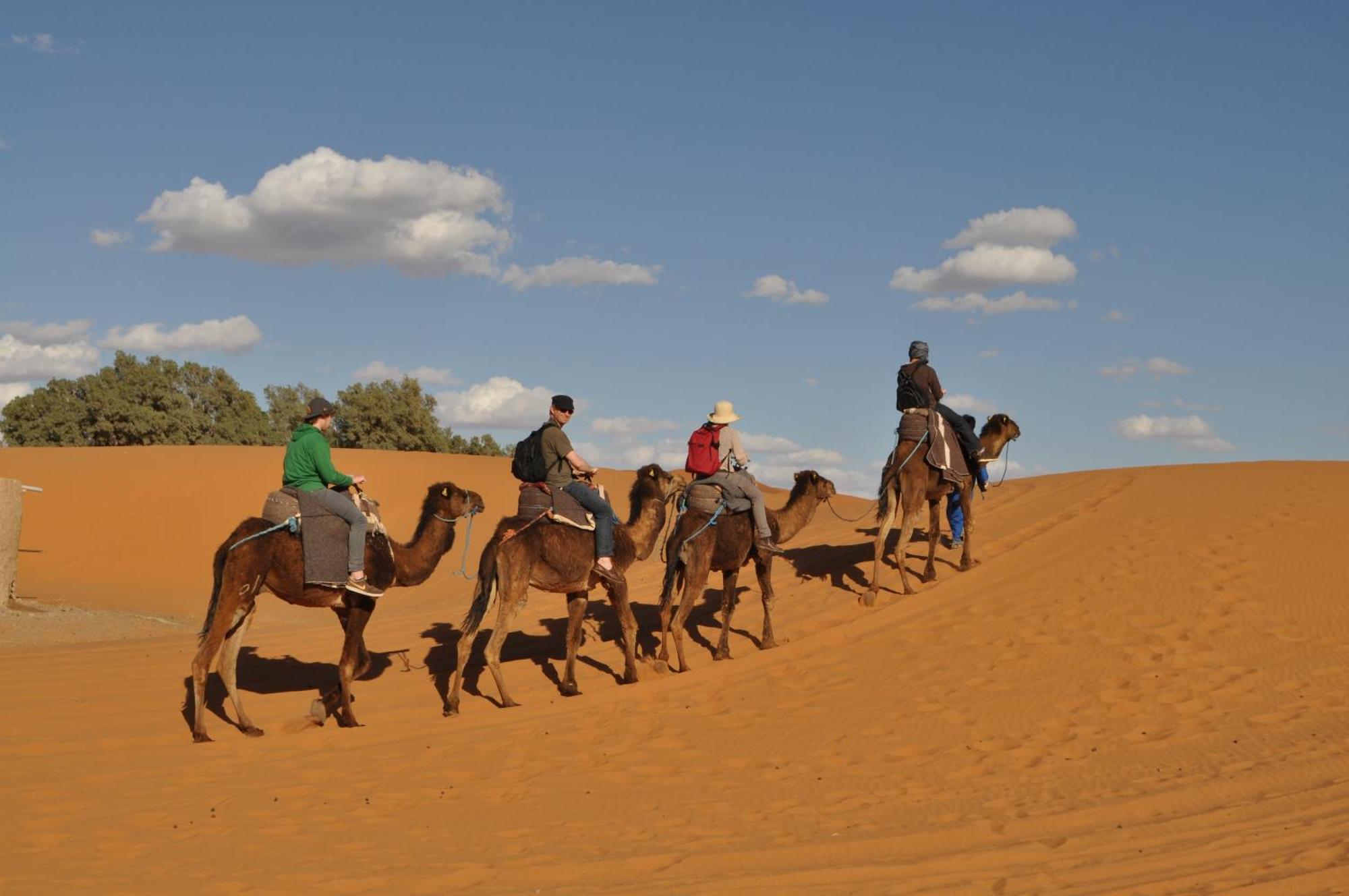 Riad Aicha & Camel Trekking Merzouga Exterior foto